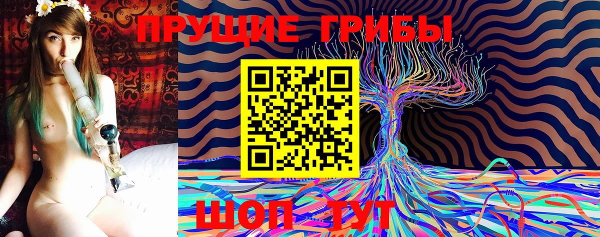 Галлюциногенные грибы Magic Shrooms  Вход с VPN  Гай  Псилоцибиновые грибы прущие грибы 
