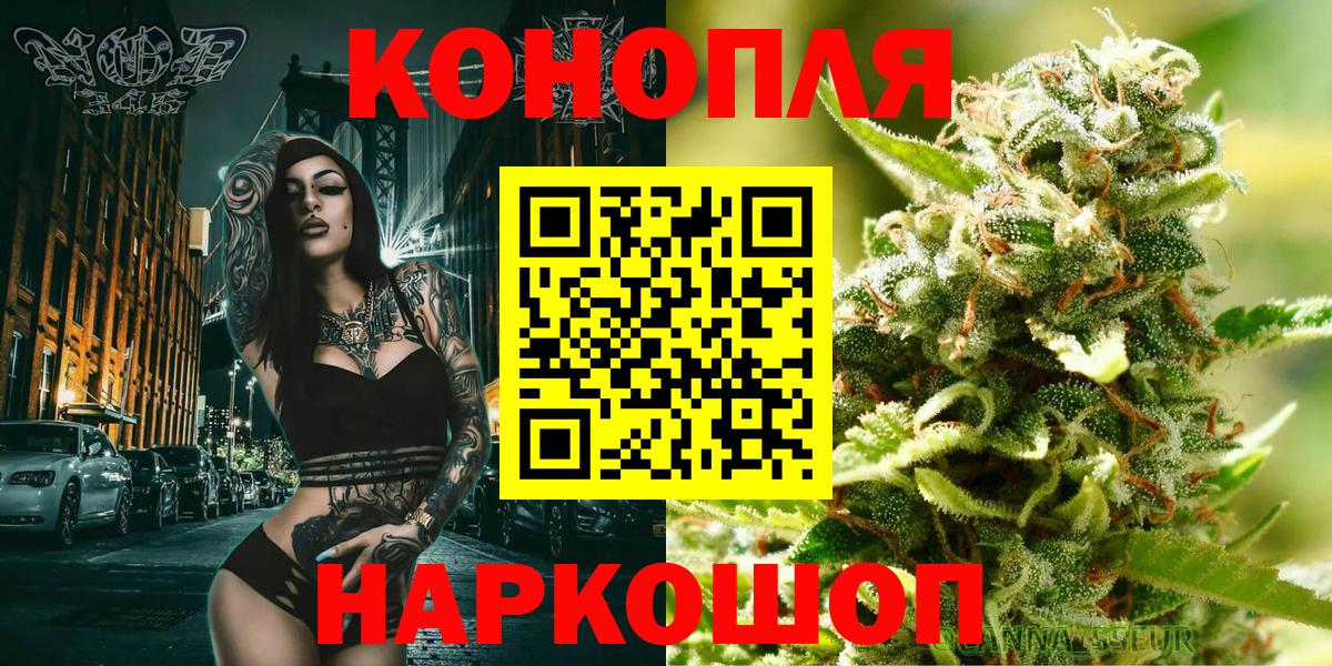 Каннабис планчик Гай